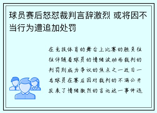球员赛后怒怼裁判言辞激烈 或将因不当行为遭追加处罚
